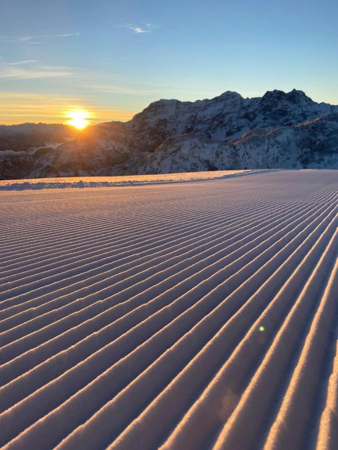 Ferienwohnungen Fichtenheim Mayrhofen Zewnętrze zdjęcie